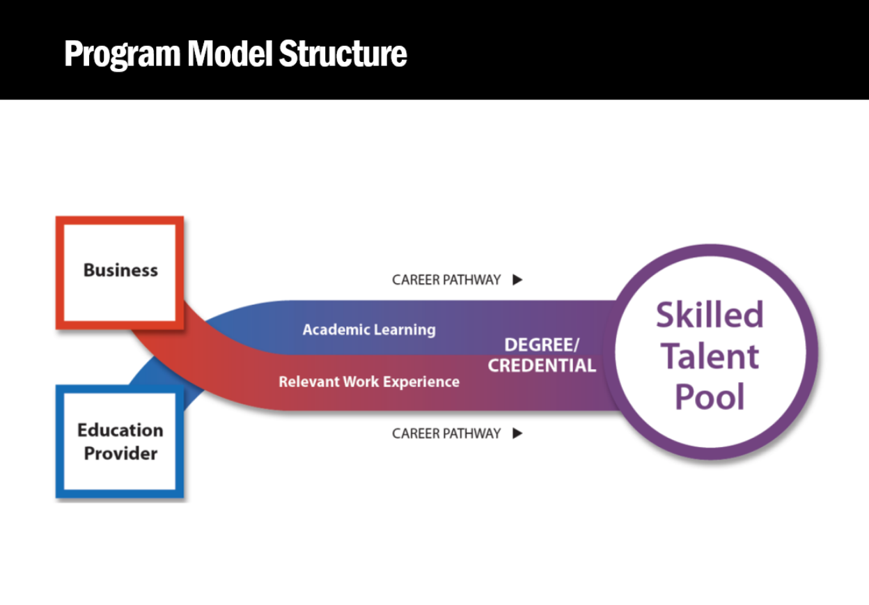 Program Model Structure