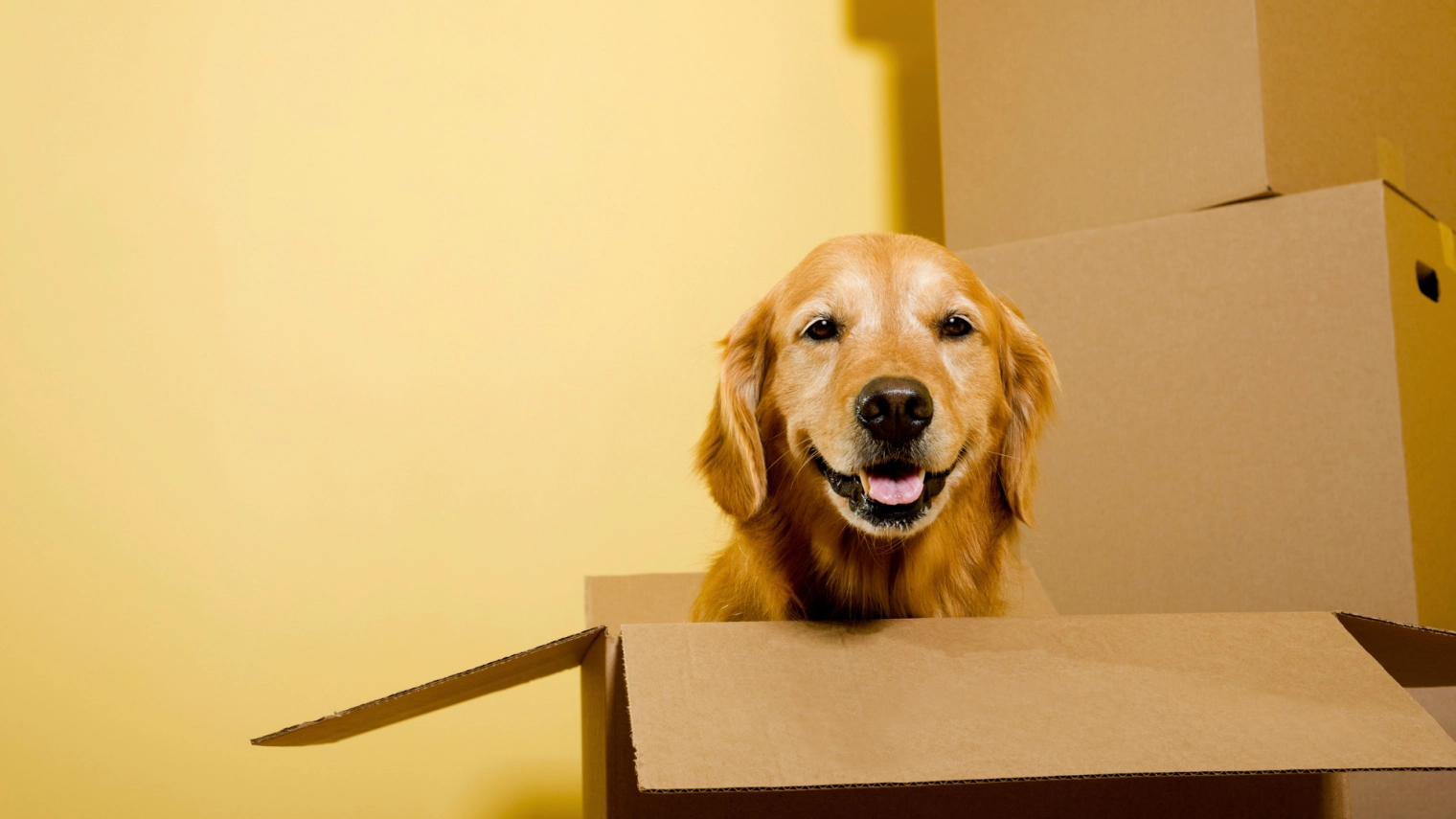 Moving for a Job: Is It Worth It in Today’s Market?